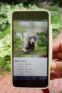 Frieda Profil Dog- Tap App 